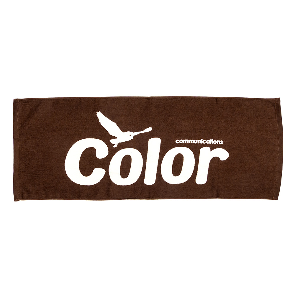 COLOR COMMUNICATIONS WAWA OWL TOWEL
