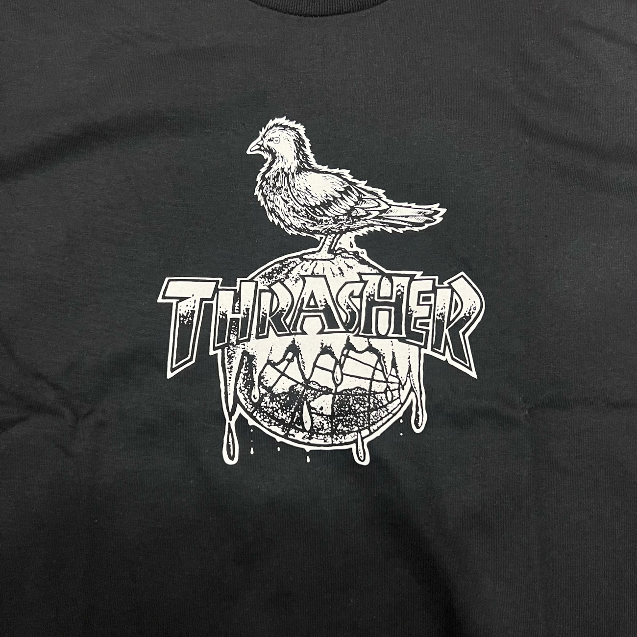 THRASHER × ANTIHERO COVER THE EARTH S/S T-SHIRT