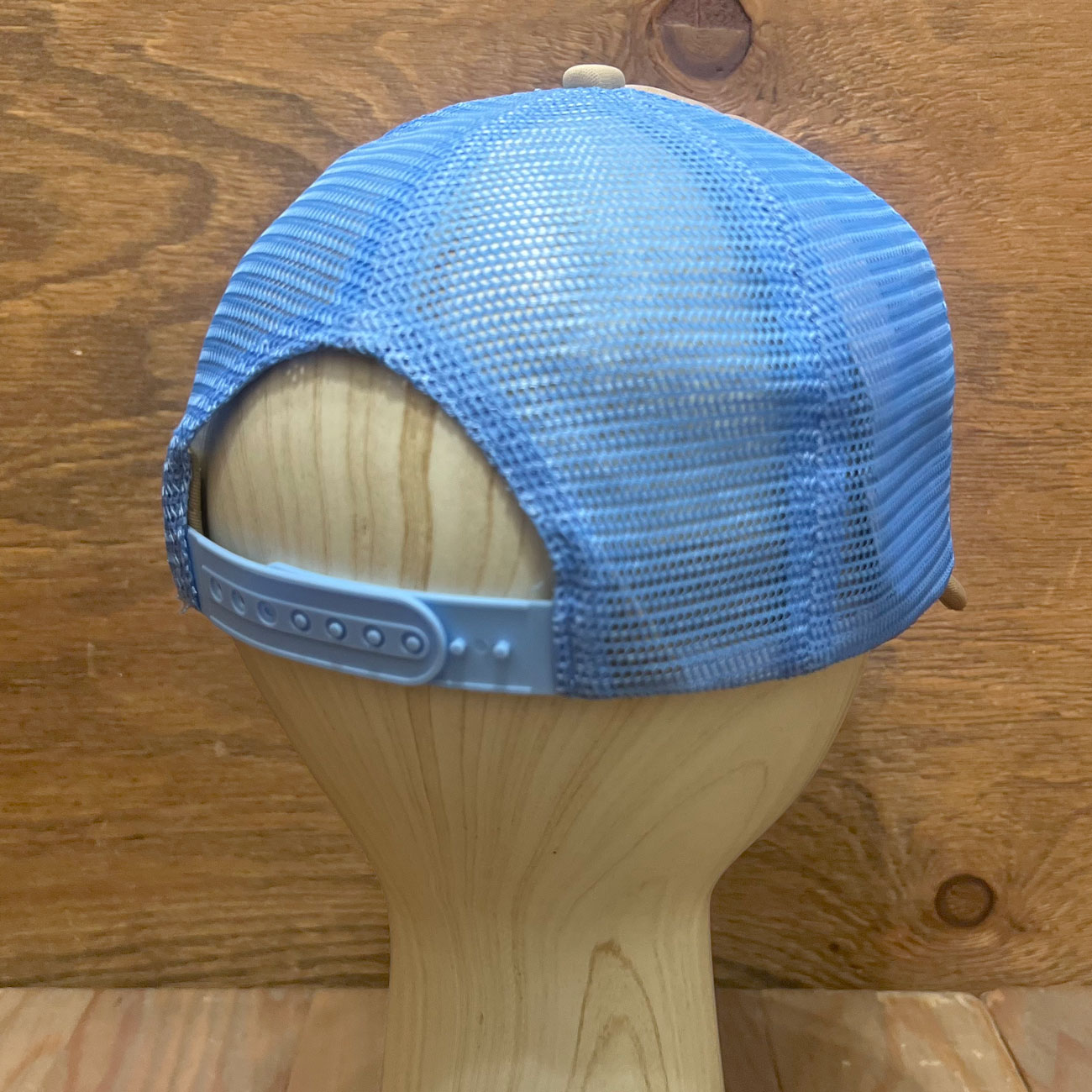 FROG SKOOM LOGO TRUCKER