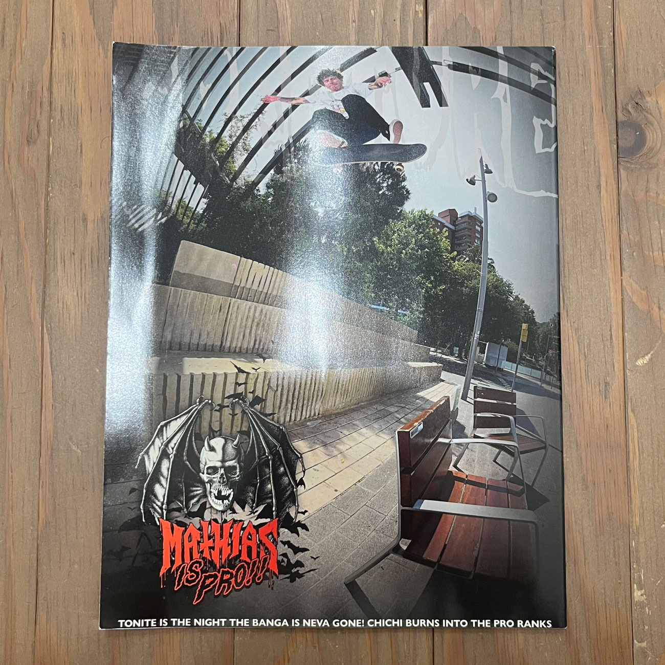 THRASHER MAGAZINE ISSUE 542