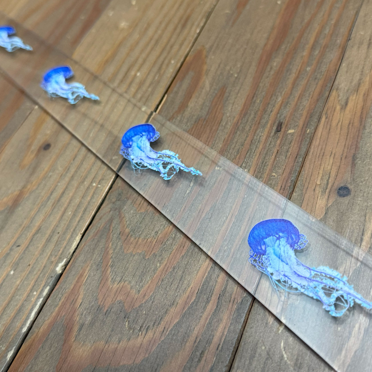 LOOSEY LOVES YOU TRANSPARENT JELLY DRIFT BELT